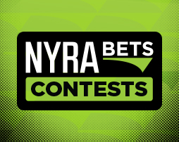 Saturday Contests